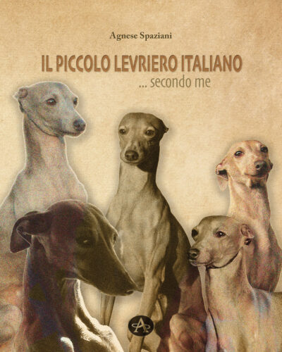 Il Piccolo Levriero Italiano ... secondo me